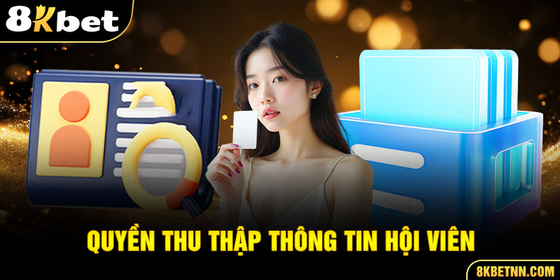 Chính Sách Bảo Mật 8Kbet 2 Nhà cái có quyền thu nhập thông tin của hội viên và có trách nhiệm bảo mật thông tin