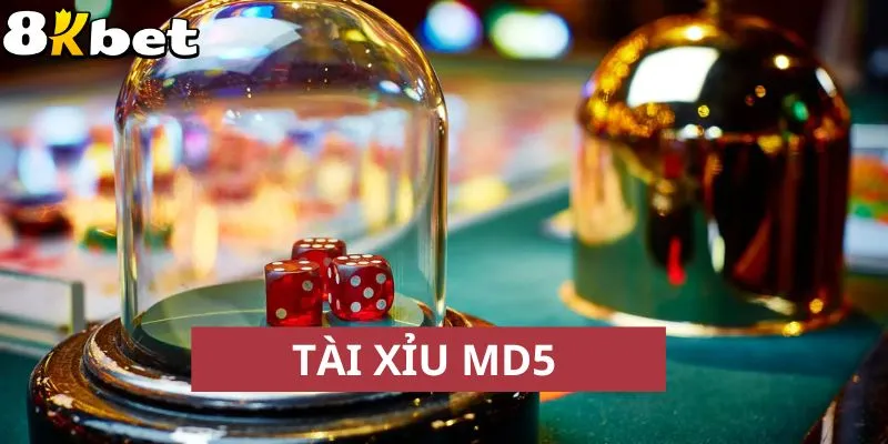 Tài Xỉu MD5 2025: Hướng Dẫn Chơi Hiệu Quả Tại 8KBet 1 Tìm hiểu về tài xỉu MD5 đang thịnh hành trên thị trường game đổi thưởng trực tuyến